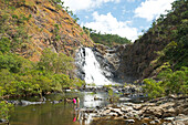 Die Bloomfield Falls nahe Bloomfield, Queensland, Australien