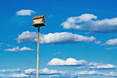 Birdhouse on a tall pole