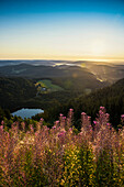 Ausblick zum Feldsee nach Osten, Sonnenaufgang, Feldberg, Schwarzwald, Baden-Württemberg, Deutschland