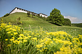 open air museum Heuneburg, celtic settlement Pyrene, Hundersingen urban district of Herbertingen, Sigmaringen district, Swabian Alb, Baden-Wuerttemberg, Germany