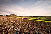 sparse domain that is typical for the Alb plateau with plenty of rocks in soil, district Salmendingen, Zollernalb district, Swabian Alb, Baden-Wuerttemberg, Germany