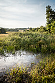 view across water pound towards deserted village Gruorn, former military area, Muensingen, Reutlingen district, Swabian Alb, Baden-Wuerttemberg, Germany