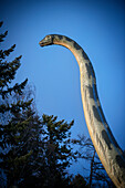 Dinosaur neck rises in outdoor area of primeval world museum Hauff, Holzmaden, Esslingen district, Swabian Alb, Baden-Wuerttemberg, Germany