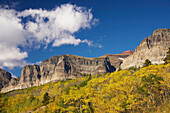 Herbstfarben in der Many Glacier Region , Glacier National Park , Montana , U.S.A. , Amerika