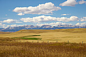 Prairie and Rocky Mountains near Bynum , Montana , U.S.A. , America