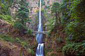 View at the <Multnomah Falls> and <Benson Footbridge> , Columbia River Gorge , Oregon , U.S.A. , America