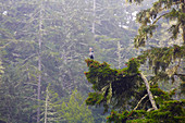 Lake Marie at <Umpqua Lighthouse S.P.> bei Reedsport , Oregon , USA