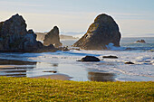 Pacific near Brookings , Harris Beach State Recreation Area , Oregon , USA