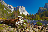 Merced River und El Capitan , Yosemite National Park , Sierra Nevada , Kalifornien , U.S.A. , Amerika