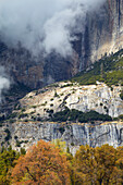 View at Upper Yosemite Fall , Autumnal tints , Yosemite National Park , Sierra Nevada , California , U.S.A. , America