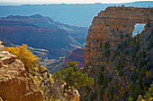 Blick vom Cape Royal auf Angel's Window und die South Rim , North Rim , Grand Canyon National Park , Arizona , U.S.A. , Amerika