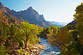 <Watchman> , North Fork Virgin River , Pa' rus Trail , Zion National Park , Utah , U.S.A. , Amerika