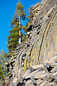 Devils Postpile National Monument , Sierra Nevada , Kalifornien , U.S.A. , Amerika
