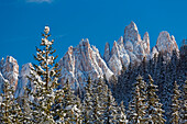 Winter view of Croda da Lago. Cortina d'Ampezzo, Veneto, Italy.
