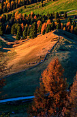 The first light at malga Gampen in autumn, Fune valley, Trentino Alto Adige, Italy