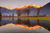 Natural reserve of Pian di Spagna flooded with snowy peaks reflected in the water at sunset Valtellina Lombardy Italy Europe