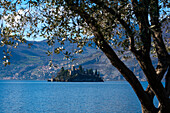 Loreto Island, Iseo Lake, province of Brescia, Italy