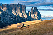 Europe, Italy, South Tyrol, Alpe di Siusi - Seiser Alm. Traditional mountain huts on the Alpe di Siusi meadows, in the background the Sciliar, Dolomites