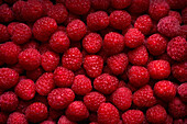 Pile of fresh red raspberries