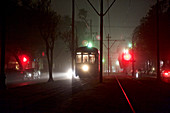 A streetcar moves down St. Charles Avenue in the Garden District of New Orleans