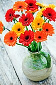 Colourful Daisy flowers in handmade ceramic vase.
