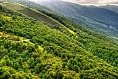 Palombera Mountain Pass. Saja-Besaya Natural Park. Cantabria. Spain.