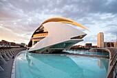 Spain, Valencia Comunity, Valencia City, The City of Arts and Science built by Calatrava,  Auditorium.