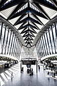 TGV station at Lyon airport by architect Santiago Calatrava, Lyon, Rhone Alps, France.