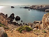 Cap Roig. Menorca. Islas Baleares. Spain. Europe.