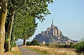 path in polders of the Mont-Saint-Michel bay, Manche department, Normandy region, France, Europe.
