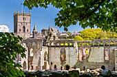 St Davids Cathedral seen from Bishop´S Palace, Pembrokeshire Coast National Park, Pembrokeshire, Wales, United Kingdom, Europe.