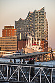 Hamburgs new Elbphilharmonie in the evening sun, modern architecture in Hamburg, Hamburg, north Germany, Germany