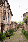 Old town,  Cordes-sur-Ciel, Tarn, Midi-Pyrénées, France