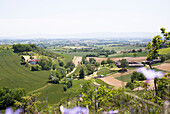 Landschaft um Lautrec,  Pays de Cocagne,  Tarn,  Occitanie,  Midi Pyrénées,  Frankreich