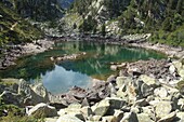 Small lake before ascending to lake Gerber. National Park Aigüestortes and lake San Mauricio. Lérida.