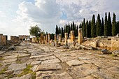 The Roman Road. Hierapolis. Ancient Greece. Asia Minor. Turkey.
