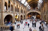 United Kingdom, London, South Kensington, Natural History Museum opened in 1881, Central Hall with a diplodocus skeleton