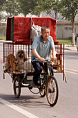 China, Beijing, the Dong Feng Xin dog market