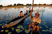 Botswana, North-west District, the Okavango Delta listed as World Heritage by UNESCO, crossing the marshes in mokoro, pirogue