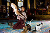 Myanmar (Burma), Shan State, Inle Lake, village of Nga Hpe Chaung, Kyaung Nga Hpe monastery, cats jumping show