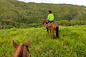 Dominican Republic, Samana Peninsula, El Limon, horse trek