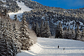 France, Isere, Vercors Natural Regional Park, Lans-en-Vercors winter resort village, altitude domain of Montagnes de Lans (from 1400m to 1810m)