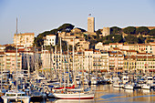 France, Alpes Maritimes, Cannes, the old port