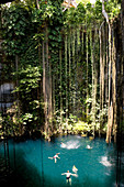 Mexico, Yucatan State, Ik Kil Eco-Archaeological Park, Ik-Kil Cenote or Blue Cenote