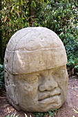 Mexico, Federal District, Mexico City, Anthropology Museum, Olmec colossal head