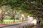 Australia, New South Wales, Sydney, The Domain park, Art Gallery Road