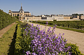 France, Yvelines, Chateau de Versailles Park, listed as World Heritage by UNESCO, kitchen garden of the king realised by Jean-Baptiste de La Quintinie in 1683, Saint Louis Cathedral in the background