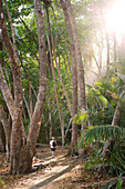 Costa Rica, Puntarenas province, Montezuma seaside resort on the Nicoya peninsula, the forest listed as a protected area