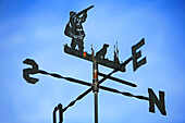 France, Vaucluse, Lourmarin, labelled Les Plus Beaux Villages de France (The Most Beautiful Villages of France), the auberge de la Fenière, roulotte du chasseur, wind vane