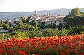 France, Vaucluse, Lourmarin, labelled Les Plus Beaux Villages de France (The Most Beautiful Villages of France), poppies